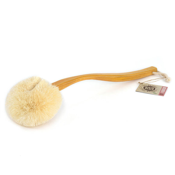 EcoMax Large Back Brush with handle